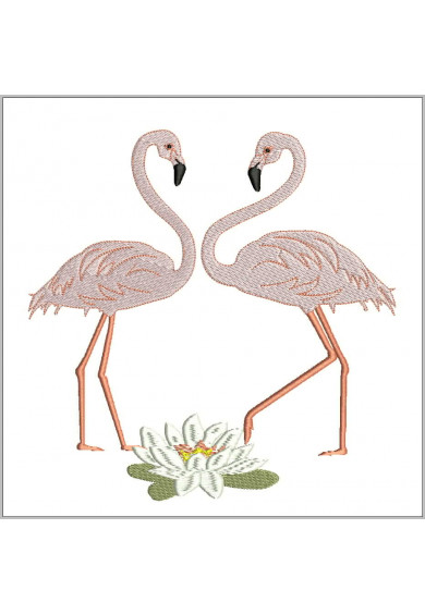 Pet065 - Flamingos pair